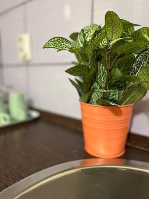1#Parliament Sunflower Apartments Room Будапеща Екстериор снимка